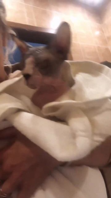 Видео без названия.