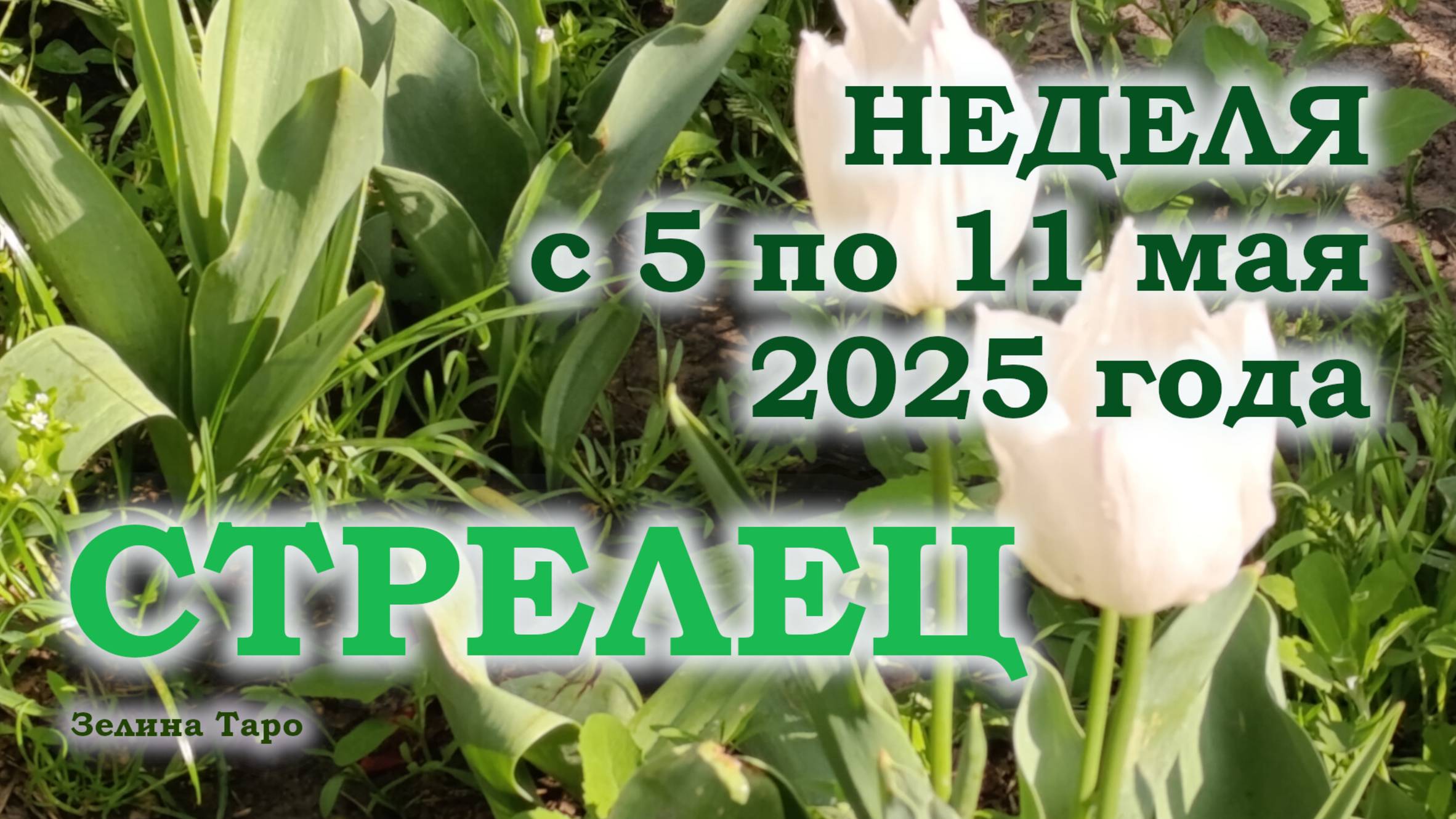 СТРЕЛЕЦ | ТАРО прогноз на неделю с 5 по 11 мая 2025 года