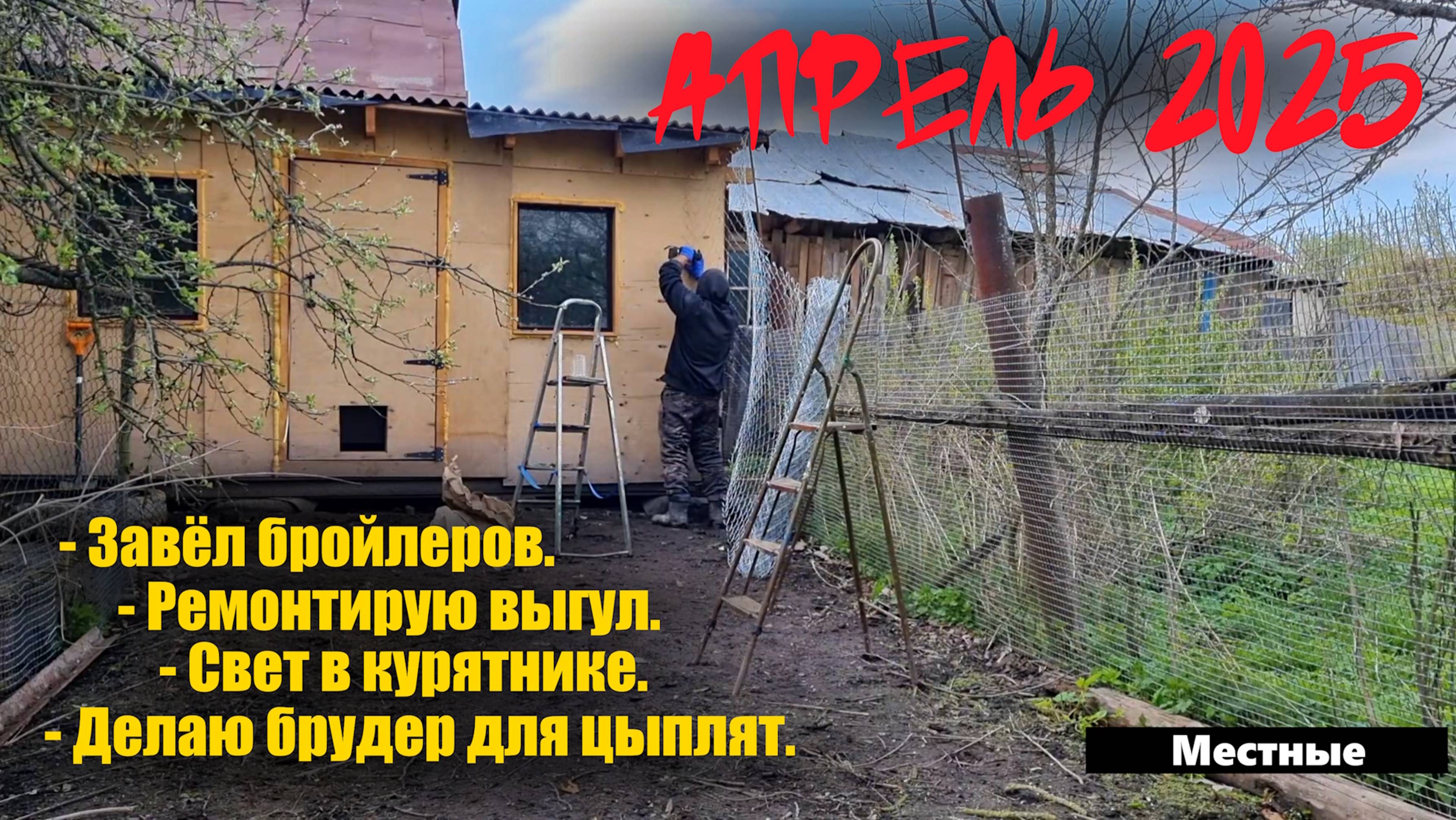 Природа берёт своё. Завёл бройлеров.