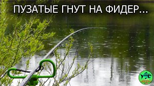 РАДОСТИ НЕ БЫЛО ПРЕДЕЛА КОГДА... Рыбалка на ФИДЕР Весной. Западная Двина.