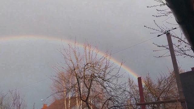 Первая радуга, нарциссы и мои питомцы! смотреть онлайн