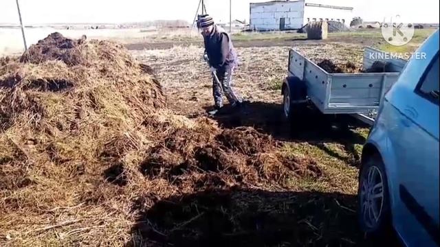 занимаемся огородом смотреть онлайн