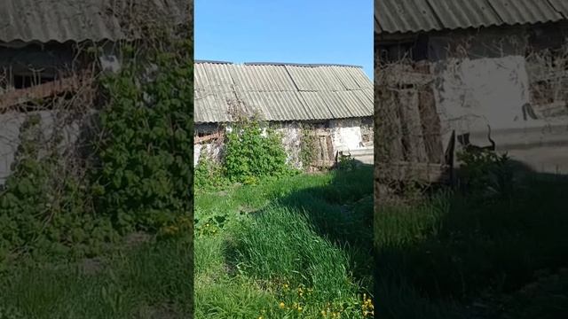 продажа дома смотреть онлайн