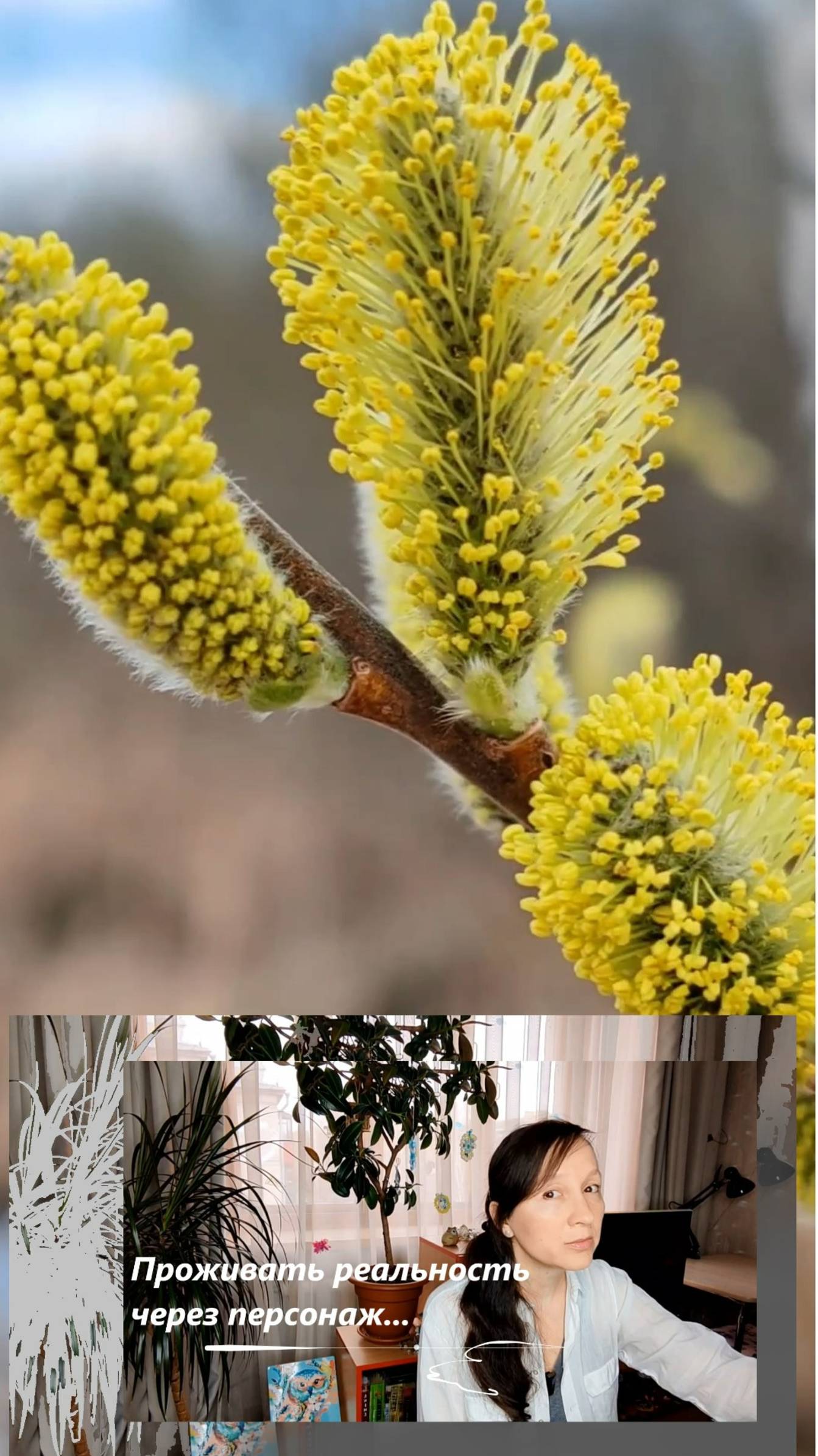 Сюжет об одном, а метафоричность - смысл нас... #shorts смотреть онлайн