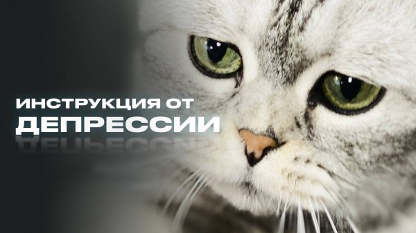 Скажи депрессии «НЕТ!»