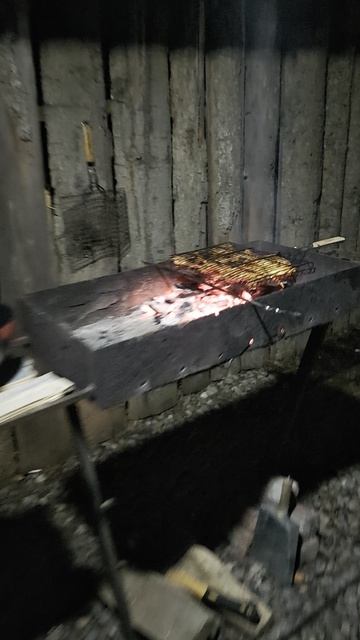 Лучший вечер с шашлыком