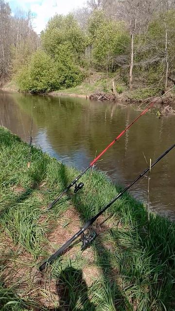 Приехали на Нольку! на РЫБАЛКУ!) на старое место!) 04.05.2025 года #fishing #рыбалка смотреть онлайн