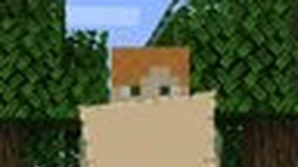 Обзор Мода Not Enough Animations для Minecraft 1.21.4