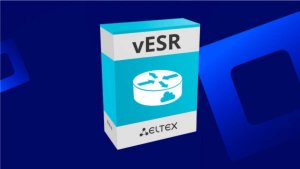 Установка маршрутизатора Eltex vESR.