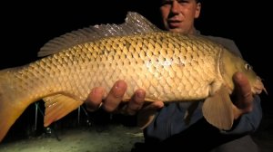 Рыбалка на сома и сазана с ночёвкой на дикой природе