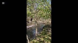 ДЛЯ МОЩНОЙ ПОТЕНЦИИ И ТЕСТОСТЕРОНА УПРАЖНЕНИЯ