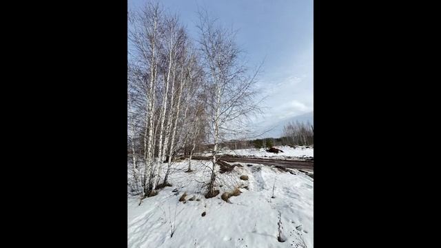 5786802 смотреть онлайн