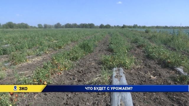 Вечерние новости (19.08.2021) смотреть онлайн