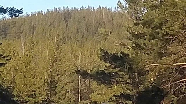 6. Гора Теплая (728 метров). Венец. Вершина. 22 февраля 2024 года.