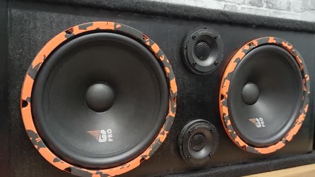 САМАЯ ГРОМКАЯ КОЛОНКА на DL Audio Gryphon Pro 250 midbass и усилителе DL Audio Gryphon Pro 6.180 смотреть онлайн