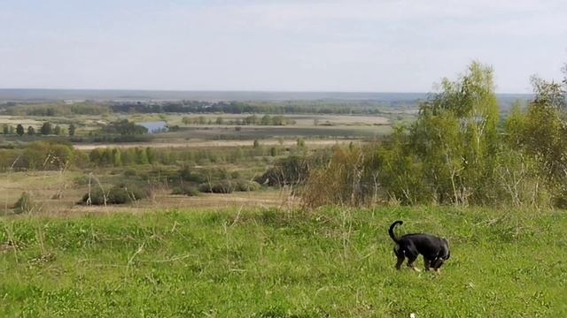 Люблю смотреть на наши озера и нашу реку смотреть онлайн