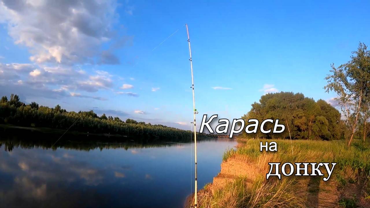 Как я ловил карасей на жмыховку. Летняя рыбалка на донки. смотреть онлайн