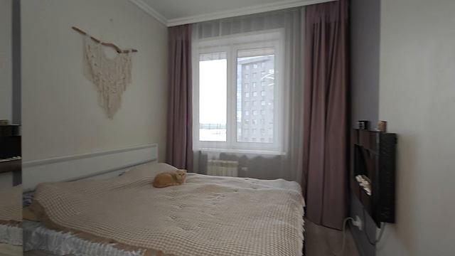 1000054566.mp4 смотреть онлайн