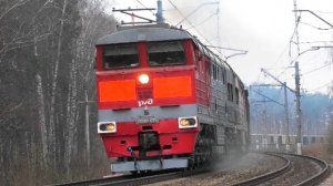 "Стукачи" 2ТЭ116К-1223/1006 и 2ТЭ116-1252 с хозяйственным поездом останавливается на перегоне