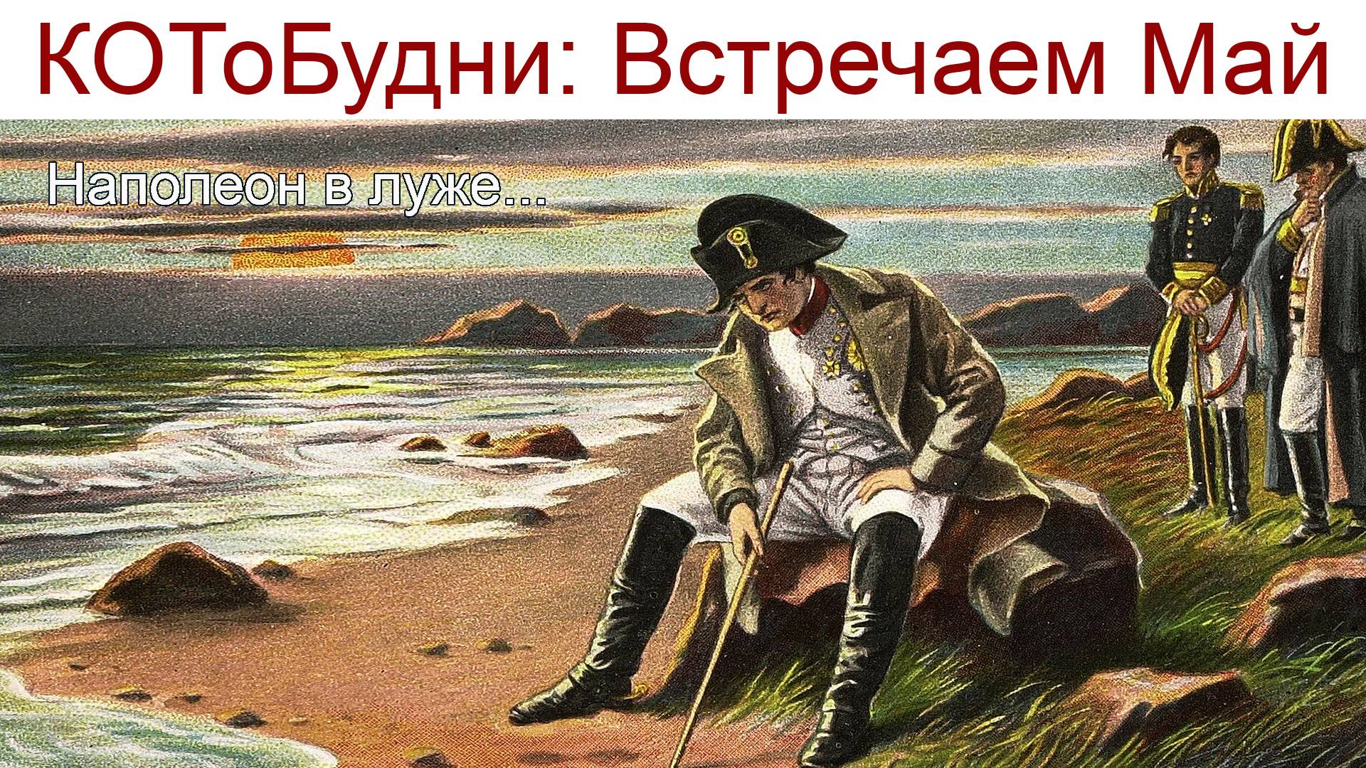 КОТоБУДНИ: Встречаем Май, снег, витютень.., а вы знаете, почему Наполеон сел в лужу? смотреть онлайн