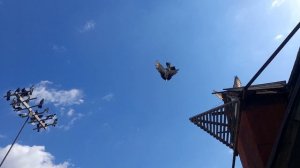 Николаевские голуби 04.05.2025 г