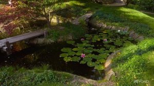 ОСОБЫЙ СТАТУС -ДОМ СРЕДИ СОСЕН И ЖИВОПИСНОГО ЛАНДШАФТА