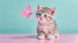 ПЕСНЯ ПРО КОТЁНКА. Весёлая детская песня. Песенка про животных для малышей