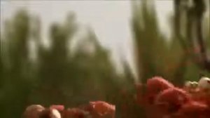 Познавательные мультфильм прикольный мультик про дружбу Вместе мы сила прикольное видео 2013