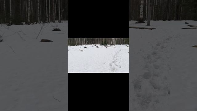 1 мая Перунова гора 2025