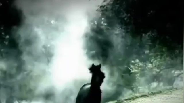 Красивая Азербайджанская песня смотреть онлайн