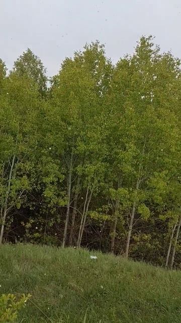 Май #sunset #топ #совакамчатки