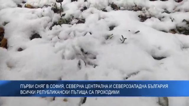 Първи сняг в София. Северна, Централна и Северозападна България: Републиканските пътища са проходим