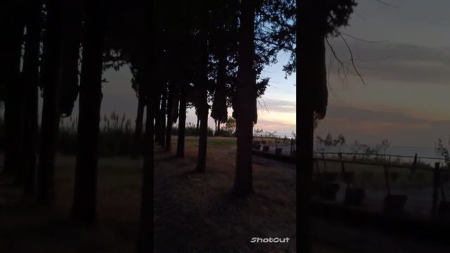 АБХАЗИЯ. ЦАНДРИПШ. ДОМ ОТДЫХА,, ПСОУ". ТЕРРИТОРИЯ ВЕЧЕРОМ