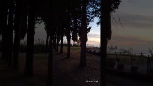 АБХАЗИЯ. ЦАНДРИПШ. ДОМ ОТДЫХА,, ПСОУ". ТЕРРИТОРИЯ ВЕЧЕРОМ