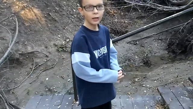 интересная пешеходная дорожка в лесу смотреть онлайн