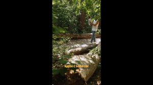 Cover Слава Скрипка  Бобр (Зимний сон)