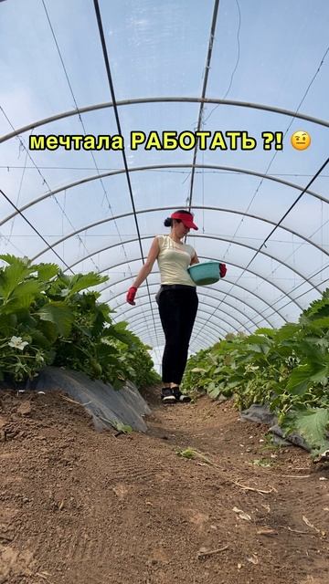 О чём Мечтаем?! ) #танцы #танцорка смотреть онлайн