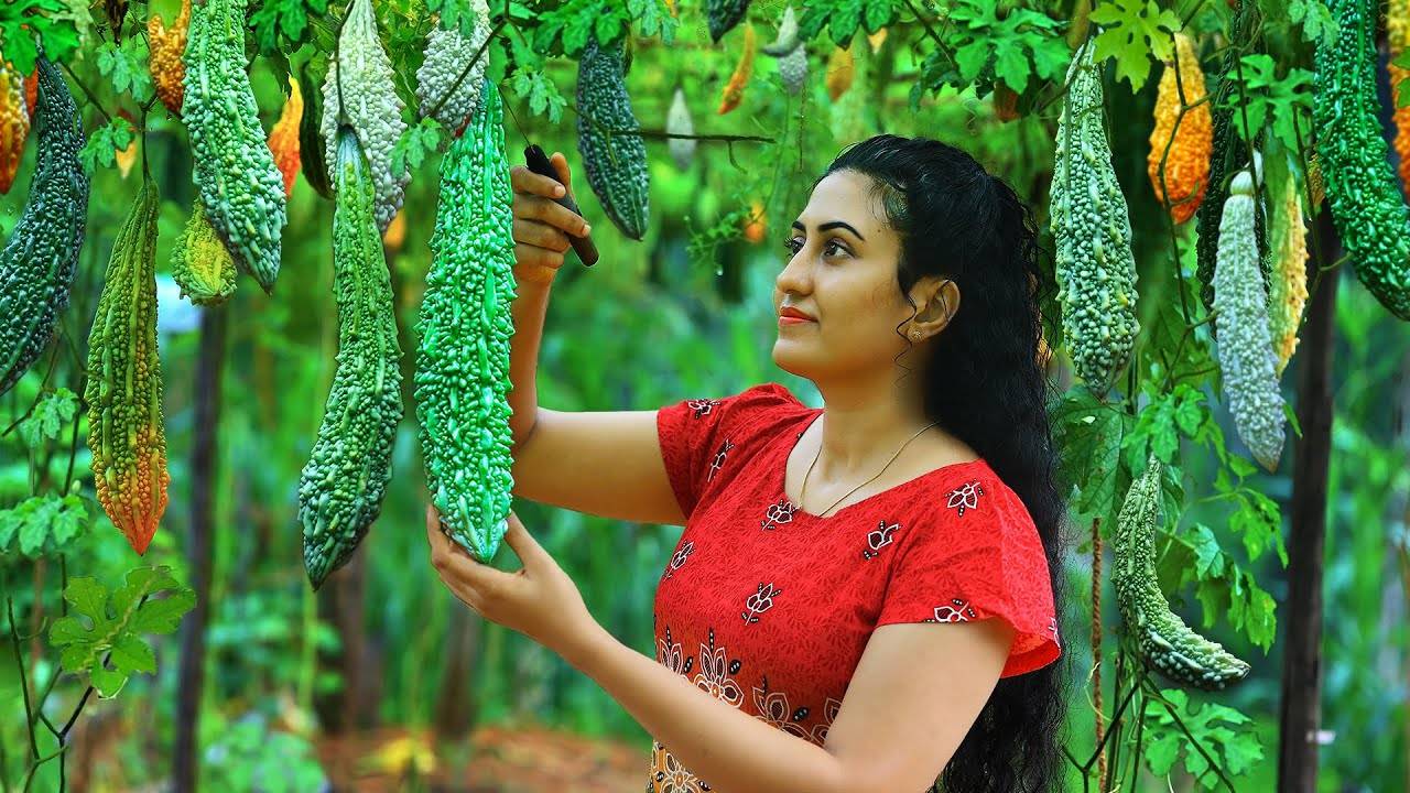 Свежая горькая тыква с фермы! 🥒 Фаршированную масала-карри, рыбное моджу и простой десерт из желе!