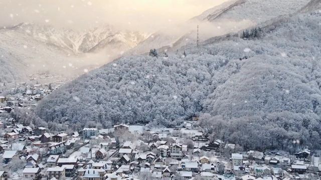 U4 & DJ ALPX - Февраль