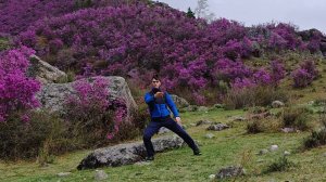 В каждом цветке есть красота целого мира |  Тайцзицюань на Алтае | Заповедное Искусство