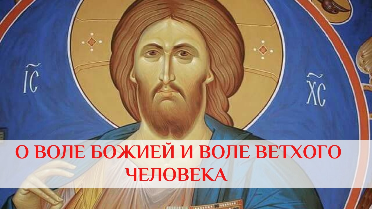 О воле Божией и воле ветхого человека смотреть онлайн