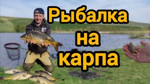 Рыбалка 2025 на карпа по холодной воде🎣 Карпу нравится жёлтый цвет🟡 #рыбалка #fishing #carpfishing
