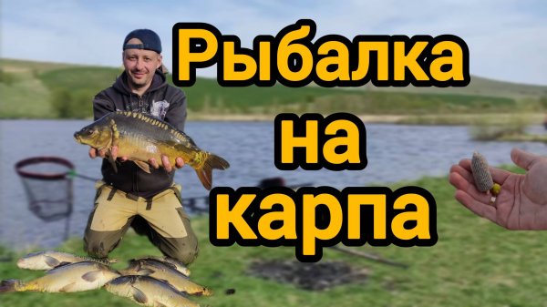Рыбалка 2025 на карпа по холодной воде🎣 Карпу нравится жёлтый цвет🟡 #рыбалка #fishing #carpfishing