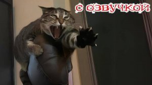 Приколы с животными😸🤗Смешные видео с озвучкой😸🤗СМЕШНОЕ ВИДЕО😸😍Наши любимые смешные животные!