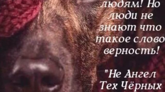 Нас ценят те, кого мы не ценим! А ведь они нам верят и нас ценят! 