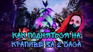 [STALCRAFT: X] Собираю Крапиву 2 часа. Крафт Кухни. Заработок на аукционе. Плюсы и Минусы крапивы.