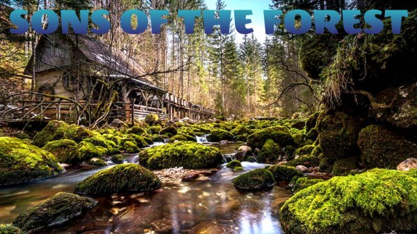SONS OF THE FOREST