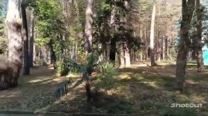 АБХАЗИЯ . ЦАНДРЫПШ. ДОМ ОТДЫХА ,,ПСОУ". ТЕРРИТОРИЯ
