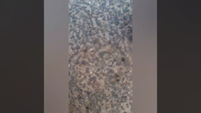 поехали в базу отдыха с мамой, а сестра с папой решили отдохнуть дома 5 сезон 4 серия смотреть онлайн