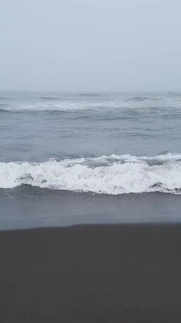 Халактырский пляж с чёрным песком, Камчатка, Тихий о? смотреть онлайн